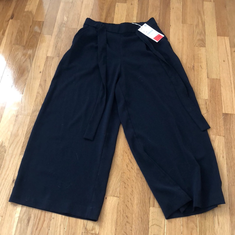 Zara Cropped Wide Leg Dress Pants